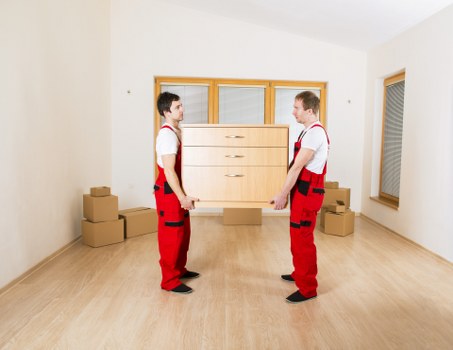 Wardrobe boxes and protective packing items for fragile belongings